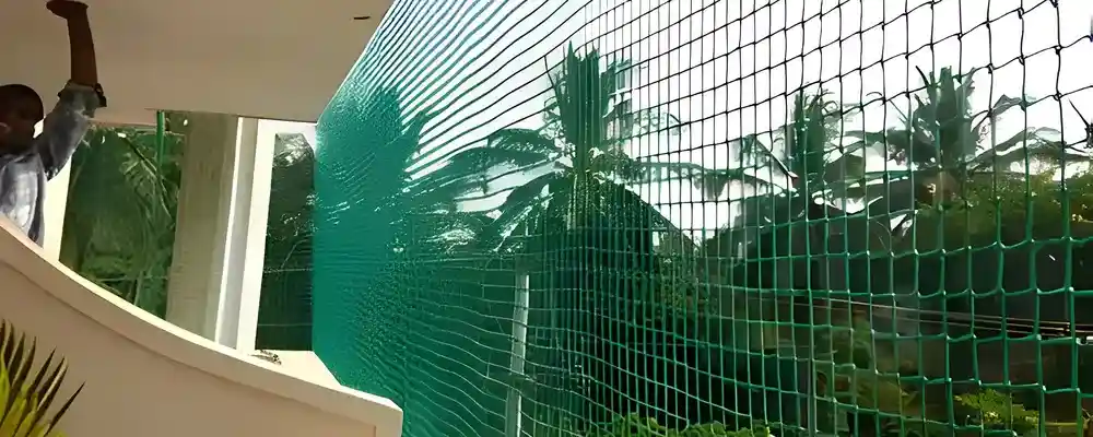 Fortified Nets Offers Pigeon Safety Nets in Vizag, Visakhapatnam, Srikakulam, Kakinada, Guntur, Nellore, Anantapur, Vizianagaram, Vijayawada, Kurnool, Kadapa, Bhimavaram, Tirupati, Rajahmundry