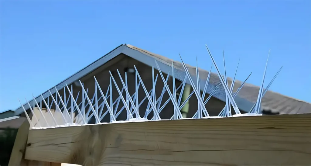 Anti Bird Spikes in Hyderabad