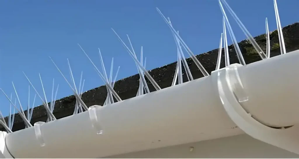 Fortified Nets Anti Bird Spikes in Hyderabad