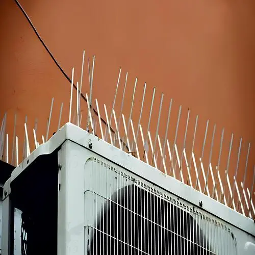 Premium Quality Anti Bird Spikes in Hyderabad